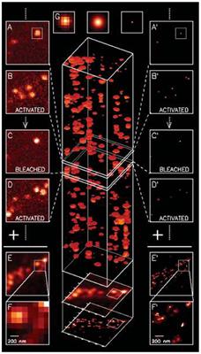 Probing Biosensing Interfaces With Single Molecule Localization Microscopy (SMLM)